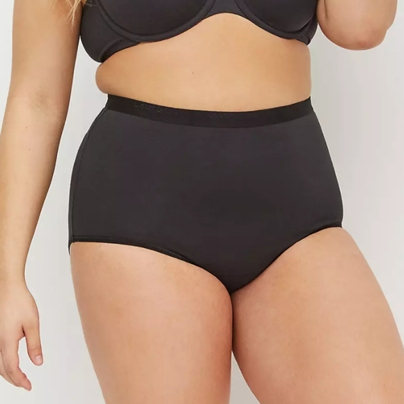 Cacique Other - Cacique 22/24 Cotton High Waist Brief